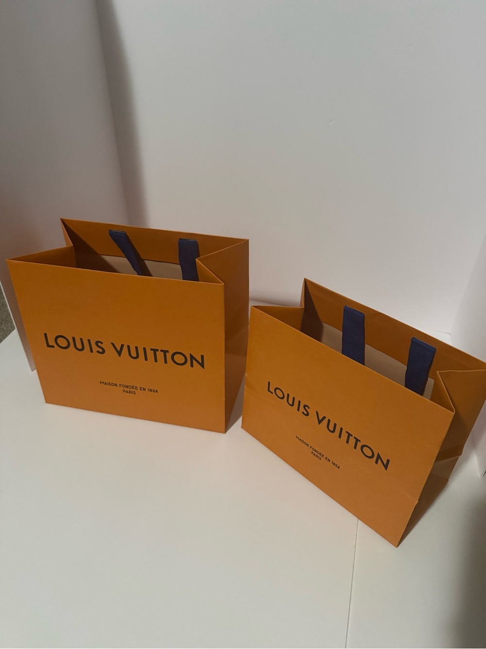 Louis Vuitton Empty Bags